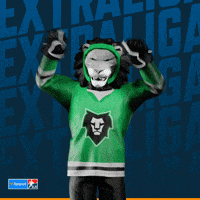 Hockey Hokej GIF by Tipsport extraliga