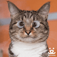 Redfinapproved GIF by Rocket Mortgage
