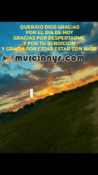 Sol Amigos GIF by Murcianys LLC