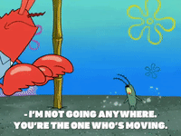 season 8 episode 25 GIF by SpongeBob SquarePants
