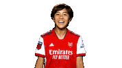 Celebrating Champions League Sticker by Arsenal
