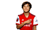Champions League Football Sticker by Arsenal