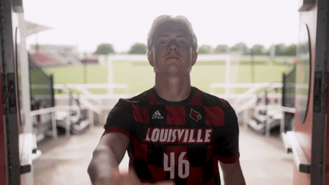 University Of Louisville Go Cards GIF by Louisville Cardinals