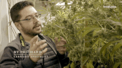 viceland GIF by Bong Appetit