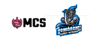 Esport Sticker by Megyék Csatája