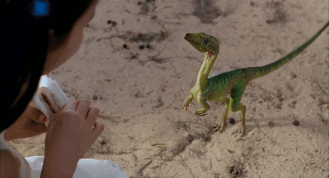Pgr14art giphyupload compy compsognathus lost world jurassic park GIF
