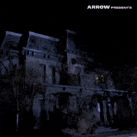 Sexy Drag Queen GIF by Arrow Video