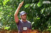 survivorau win run jump go GIF