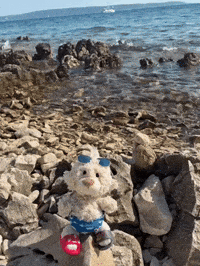 Summer Sun GIF