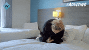 w channel kate robbins GIF by UKTV