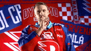 Hockeytown GIF by HC Dynamo Pardubice