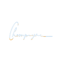 objectifvin wine sparkle champagne objectif vin Sticker