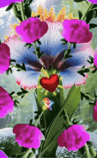 De Vida Gracias GIF by Murcianys LLC