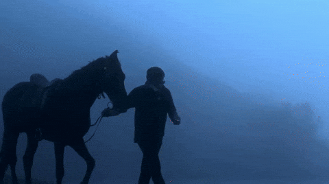 Chiru GIF by Sharat overseas distribution