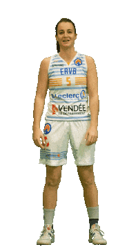 ervbasket  Sticker