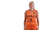 NLbasketball orangelions Sticker