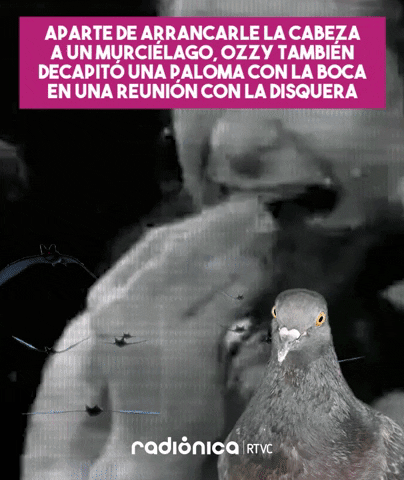 radionicadertvc giphyupload ozzy osbourne radionica las50deozzy GIF