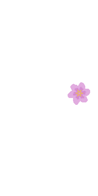 Flower Spring Sticker