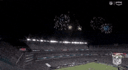 Regular Season Football GIF by NFL