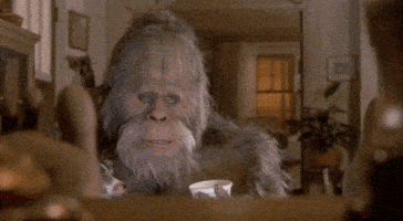 bigfoot sasquatch GIF