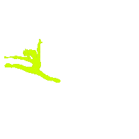 Florida Baton Sticker by EPIC Twirl