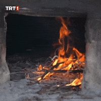 Fire Heat GIF by TRT