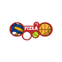 floridafccla sports slc ctso flfccla Sticker