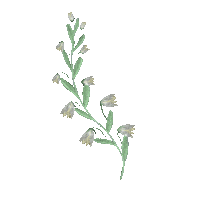 Flowers Spring Sticker