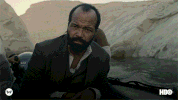 season 2 finale GIF by Westworld HBO