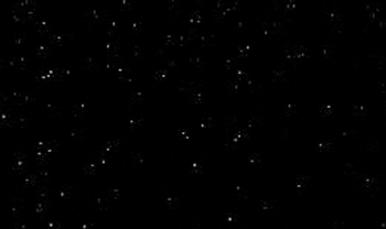 lol GIF by AnimatedText