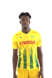 Ligue 1 Football Sticker by FCNantes