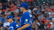 Blue Jays Mlb GIF by Toronto Blue Jays