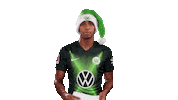 João Victor Soccer Sticker by VfL Wolfsburg