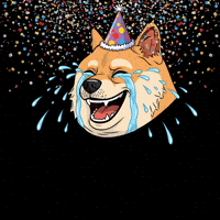 Happy Shiba Inu GIF by Doge Pound