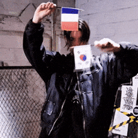 France Louis GIF