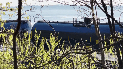 johncryan3 giphyupload GIF