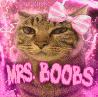Cat GIF