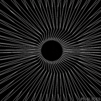 black and white loop GIF by Pi-Slices