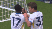 Football Brighton GIF