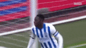 Football Brighton GIF