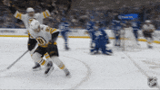 Happy National Hockey League GIF by NHL