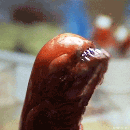 ridley scott xenomorph GIF by foxhorror