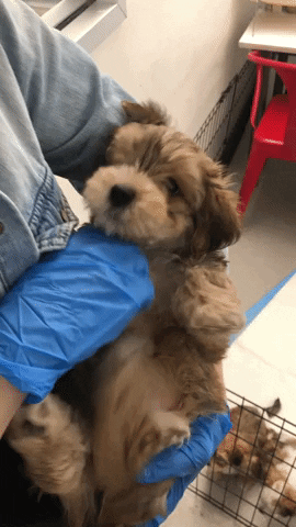 GIF by Good Morning America