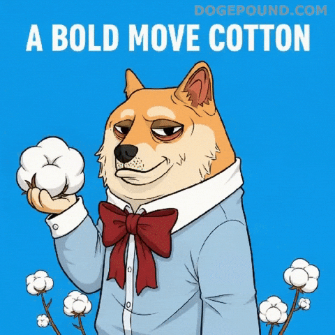 Brand Holding GIF by Doge Pound