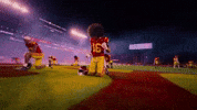 Usc Football GIF