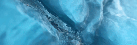 nelsonchan24 giphyupload GIF