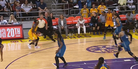 game 3 basketball GIF by WNBA