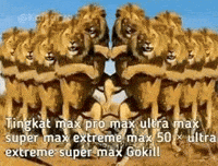 Lion Singa GIF