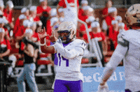 Football Celebrating GIF by JMUDukes