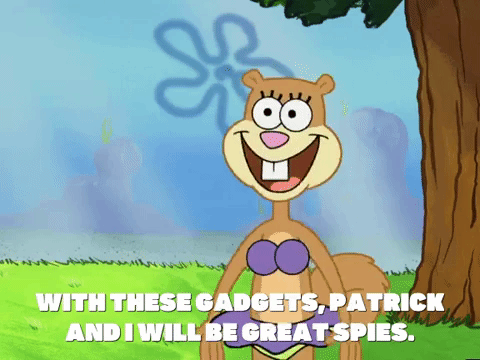 season 5 GIF by SpongeBob SquarePants
